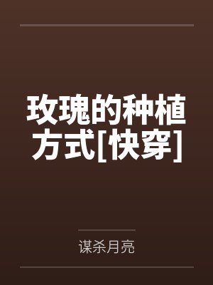 我爱安心封面